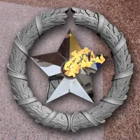 Венок вечный огонь чугун звезда нержавеющая сталь в Абазе (518577)