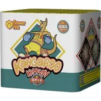 Батарея салютов Кенгуру ОС6035 купить от производителя Огненный Цветок — Абаза