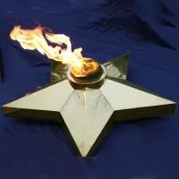Звезда Ø 1100 - горелка ГВД 379 10 89 00 ПС (1636) в Абазе