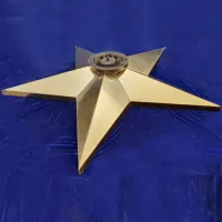 Звезда вечный огонь (1628) поставка комплект горелка ГВД 379 10 89 00 ПС ø 1100 мм. пустотелая  в Абазе
